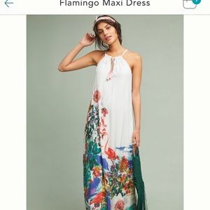 ISO medium or large antro dress